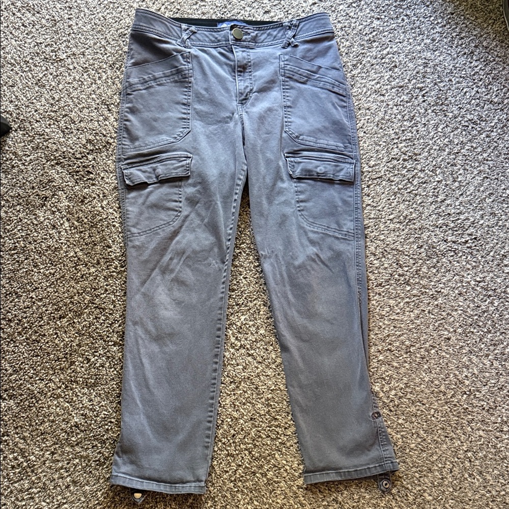 Democracy Absolution Gray Pants